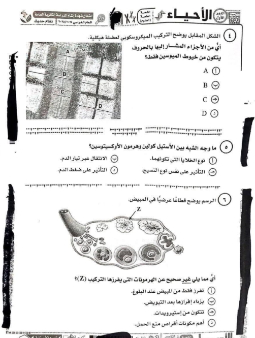 امتحان الأحياء ثانوية عامة 2025.png 1 امتحان الأحياء ثانوية عامة 2025.png 1